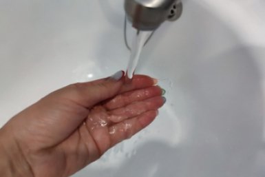 6298978.jpg