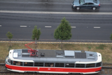 6302336.jpg