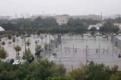 6304393.jpg