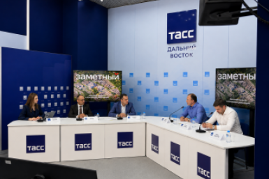 Пресс-конференция, посвященная проекту комплексного освоения территории проекта &quotГород Заметный&quot во Владивостоке ИА PrimaMedia