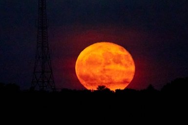 солнце Дмитрий Осипчук, ИА PrimaMedia.ru