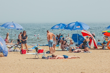 Сильный северный ветер и до +24°C ждут Приморье в субботу, 8 августа