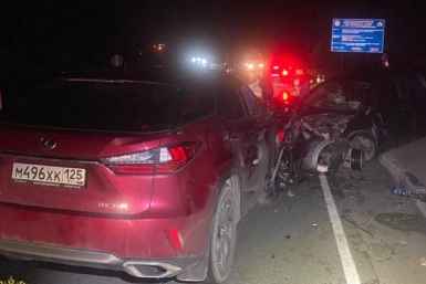 Нетрезвая автолюбительница устроила лобовое ДТП под Большим Камнем — пострадали дети