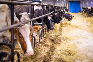 6373214.jpg