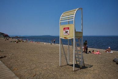 Новость дня