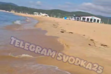 "Труп лежит": что случилось на популярном пляже в Ливадии – видео