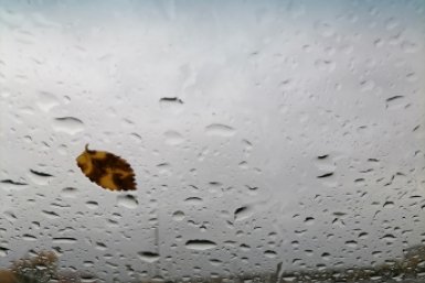 6401084.jpg?e326e16ccb880f3152309d38980d60b9