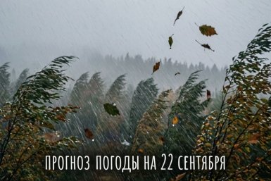 6401328.jpeg?727c62fb7700473ef544791bad9d1b57