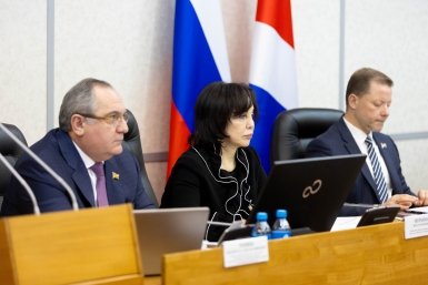 Кто получил места после отказа Кожемяко и Щербины от мандатов в Заксобрании Приморья