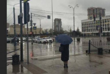 6415499.jpg