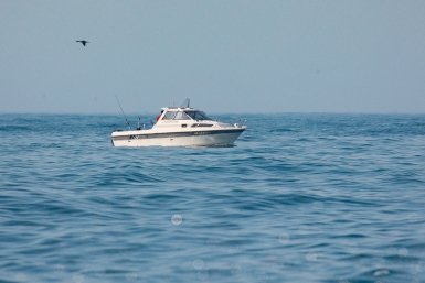 6416990.jpg