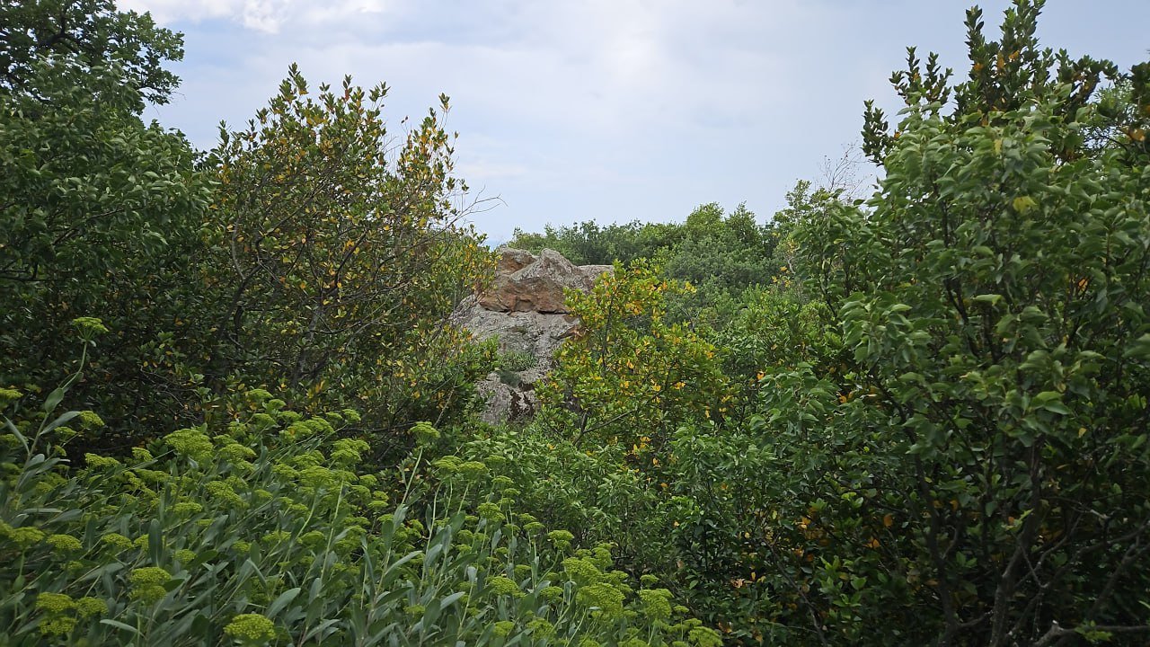 6434939.jpg?dd846f579a0eb7db027d176296025766