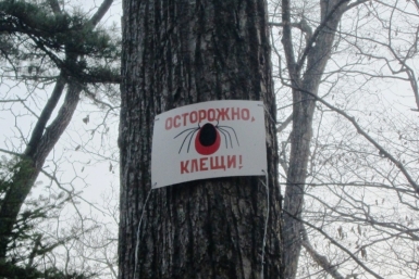 Клещ РИА PrimaMedia