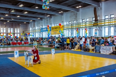 Международная выставка собак всех пород Мария Бородина, РИА PrimaMedia