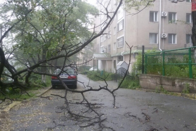 Автомобили и люди не пострадали Алексей Пушкин