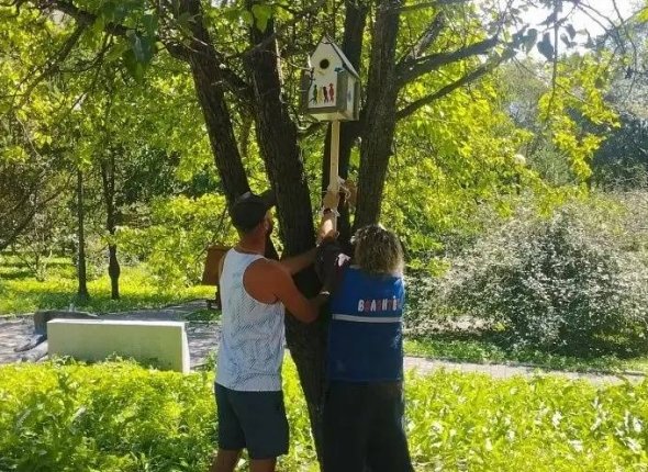 Кормушки для птиц появились в сквере Юнг во Владивостоке