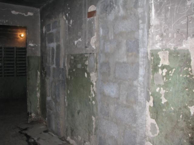 Владивосток, Некрасовская, 48
