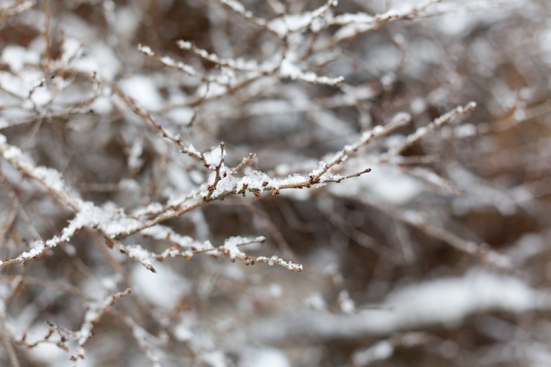 Небольшой снег выпадет в Иркутской области в ближайшие выходные дни