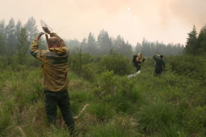 Два лесных пожара тушат в Верхоянском и Нюрбинском районах Якутии