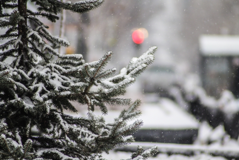 Небольшой снег ожидается в Иркутской области в ближайшие выходные дни