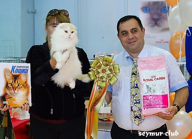 Выставка кошек в Иркутске