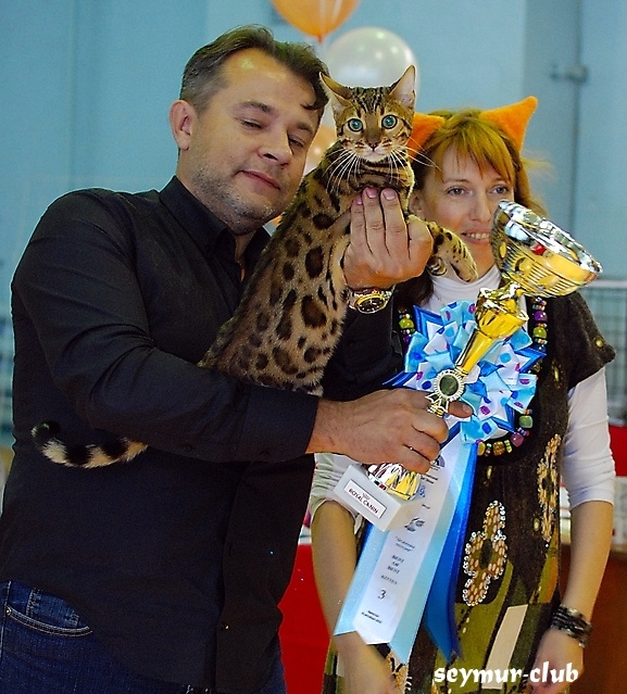 Выставка кошек в Иркутске
