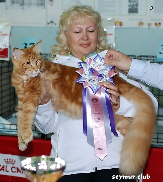 Выставка кошек в Иркутске