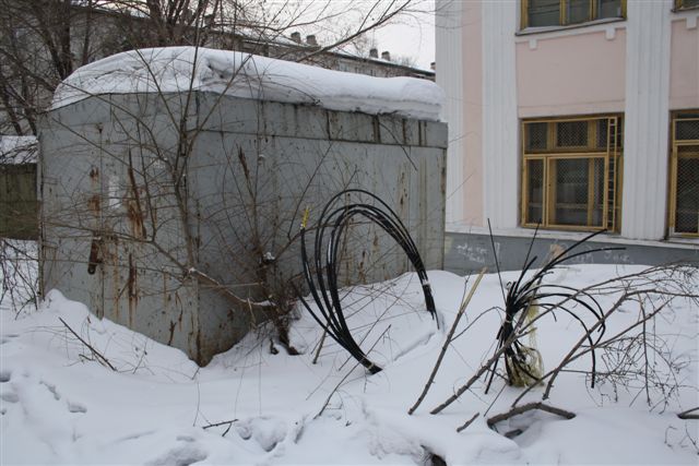 Откуда взялось