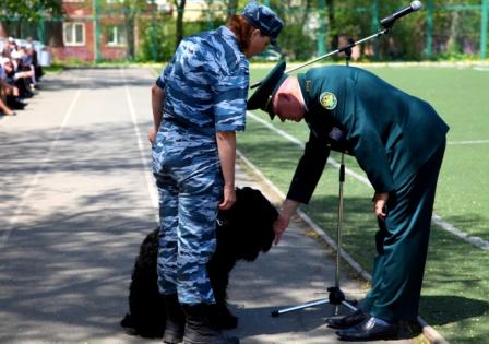 Соревнования кинологов, Фото с места события из других источников