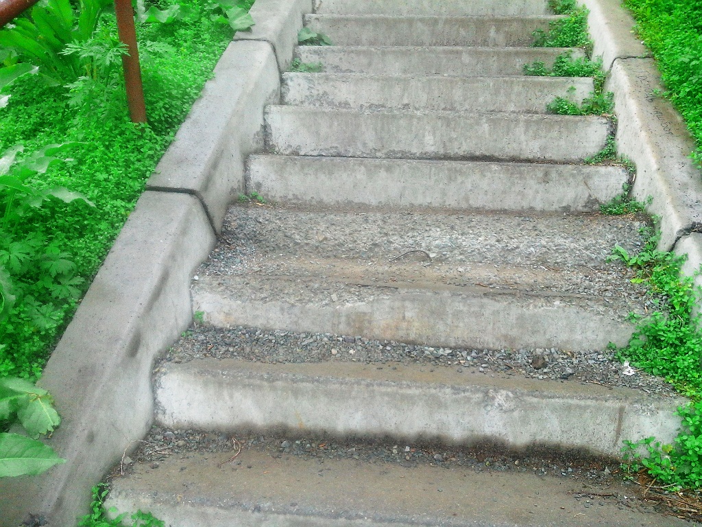 Лестница раскрошилась буквально за несколько месяцев, Фото с места события собственное