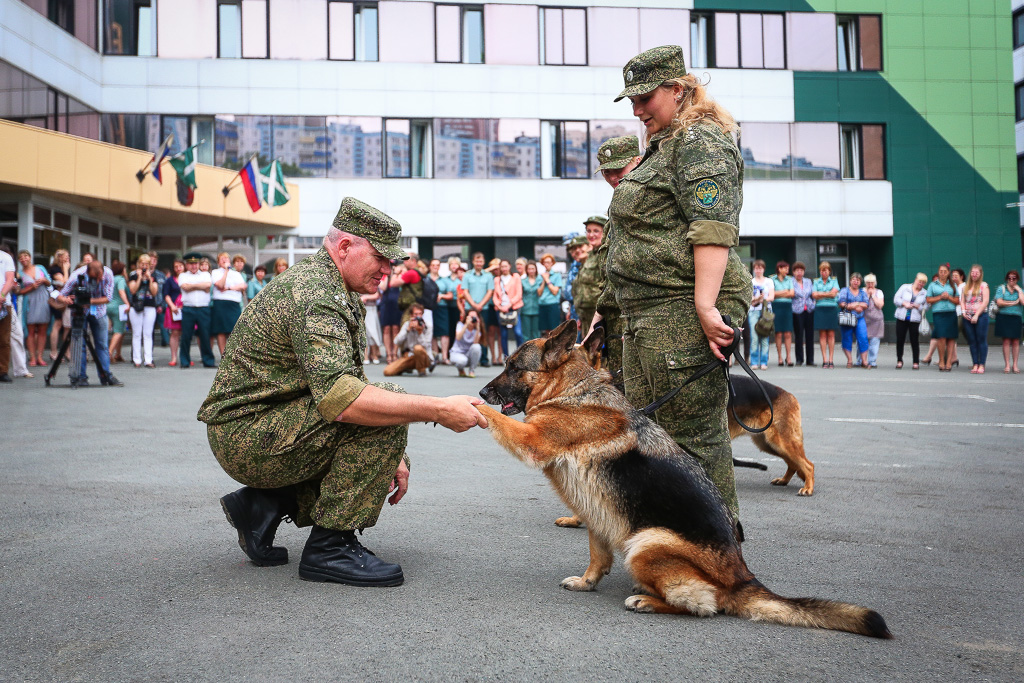 Начальник благодарит своих подчиненных, Фото с места события собственное