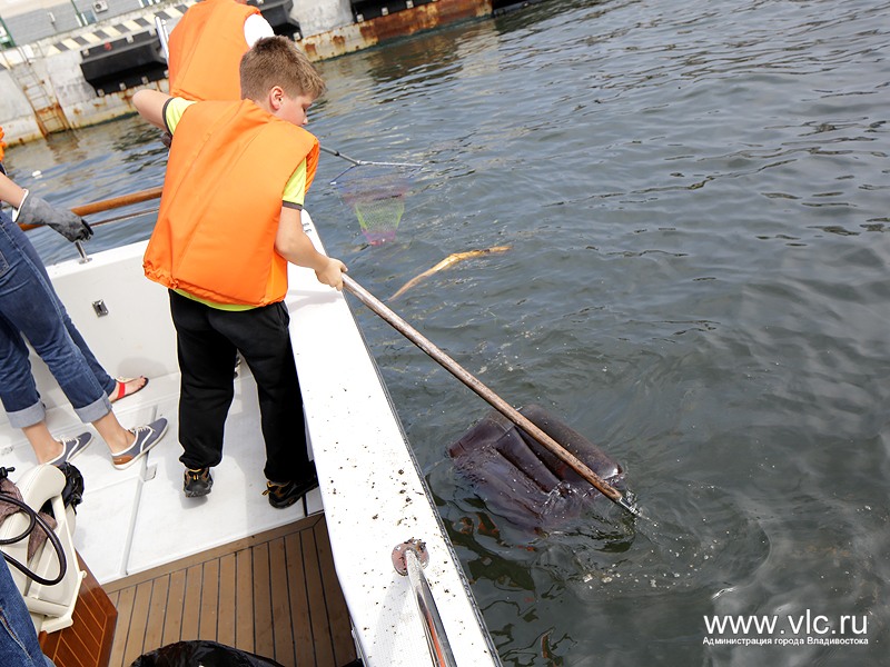 Участвовали и взрослые, и дети, Фото с места события из других источников