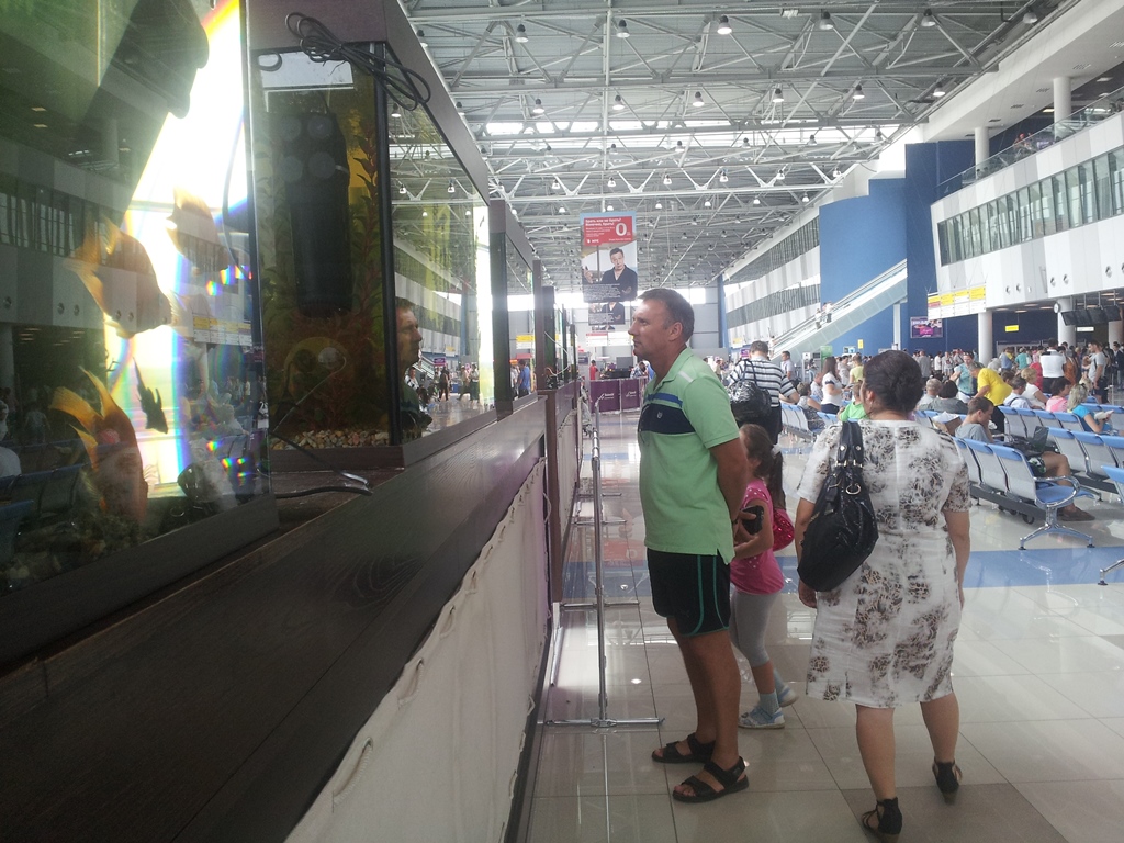 От отключения электроэнергии могли пострадать рыбы, Фото с места события собственное