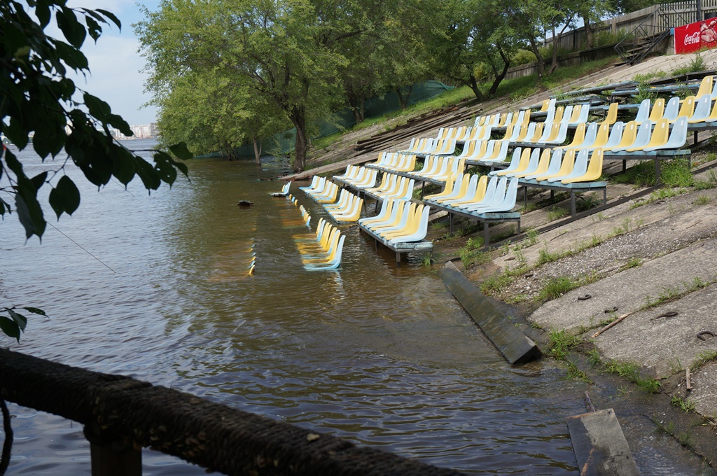 Дельфин хабаровск база фото