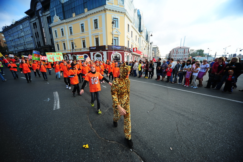 Так чьи в лесу шишки?, Фото с места события собственное