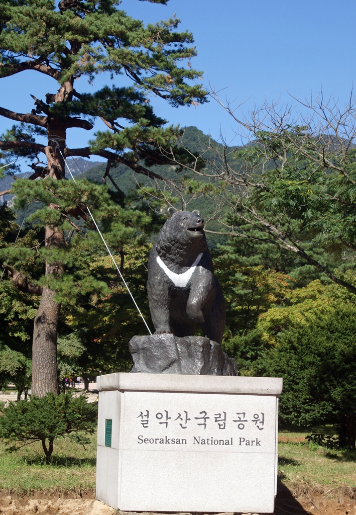 На входе в парк Сораксан, Фото с места события собственное