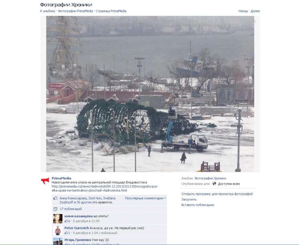 Упавшая елка, Фото с места события из других источников