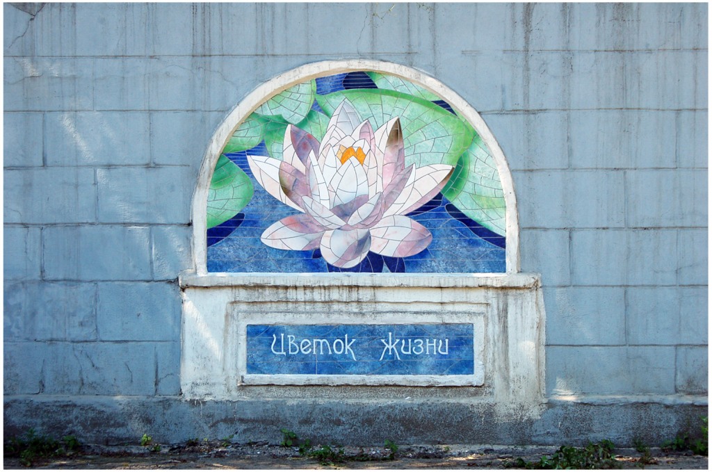 Роспись ""Лотос", Фото с места события из других источников