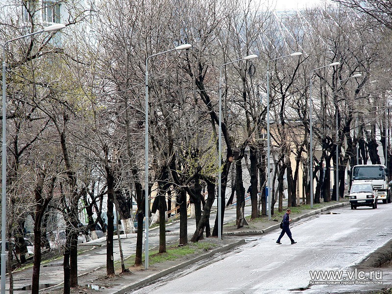 В этом году на улицах Владивостока установили 10 тысяч фонарей, Фото с места события из других источников