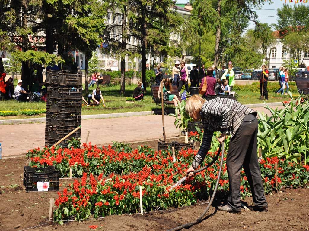 Можно Купить Тюльпаны В Горзеленхозе В Иркутске