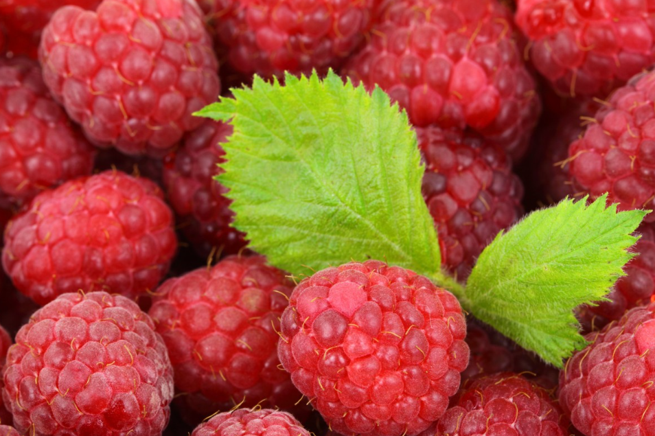 Тематическое фото pxhere.com (18+)