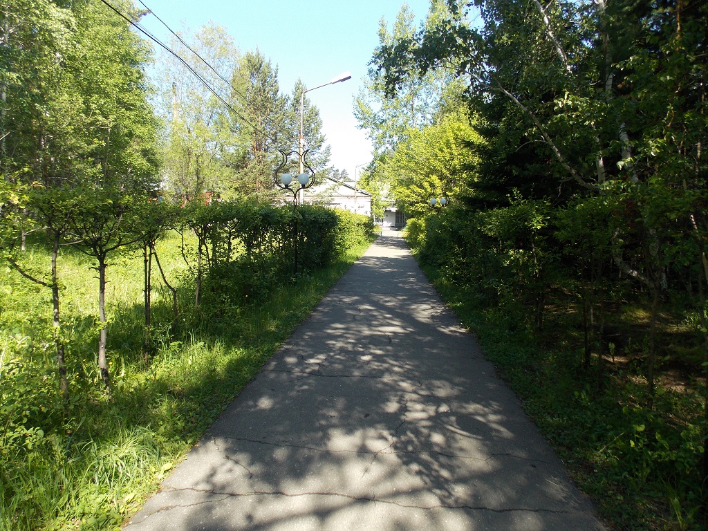 Свыше 800 детей отдохнут в лагере "Металлург" в Иркутской области, Фото с места события собственное