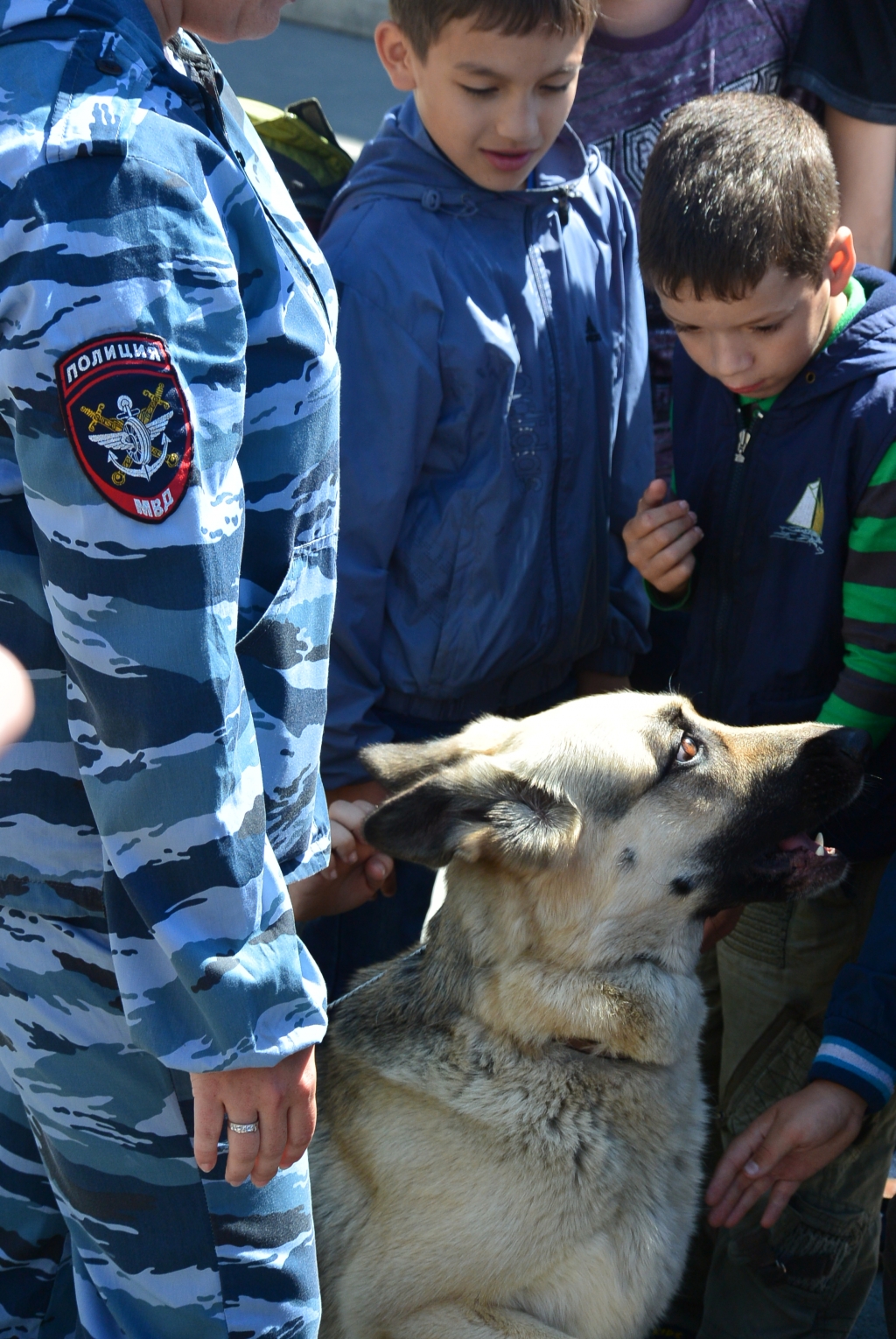 Дети были в восторге от четвероногих "следователей", а те от них , Фото с места события собственное