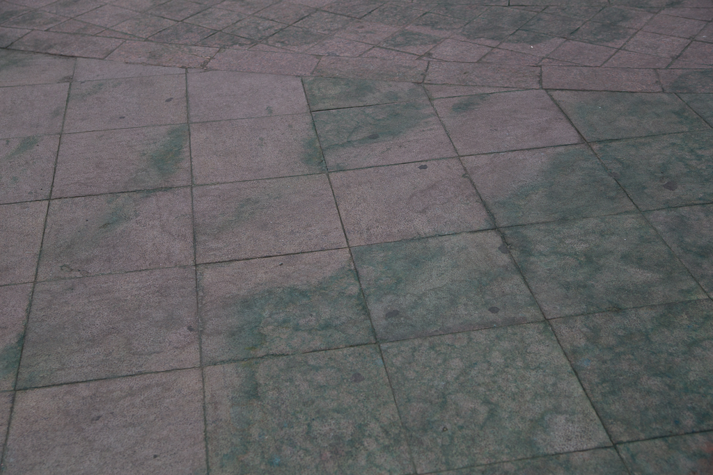 Плитки позеленели, Фото с места события собственное