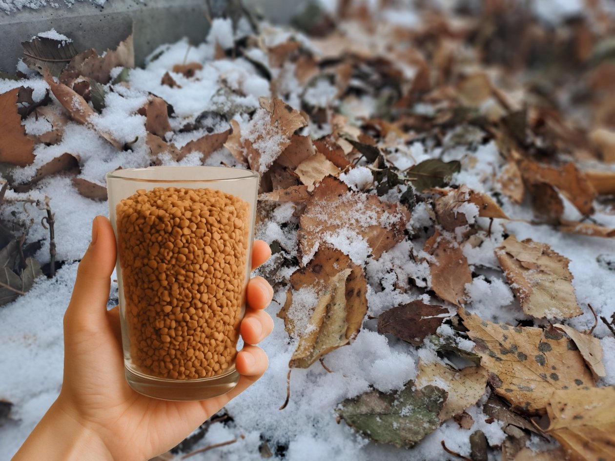 Стакан крупы вместо 100 кг компоста: рассыпаю даже поверх снега - почва словно пушок - UssurMedia: Лента новостей, 18.11.2025