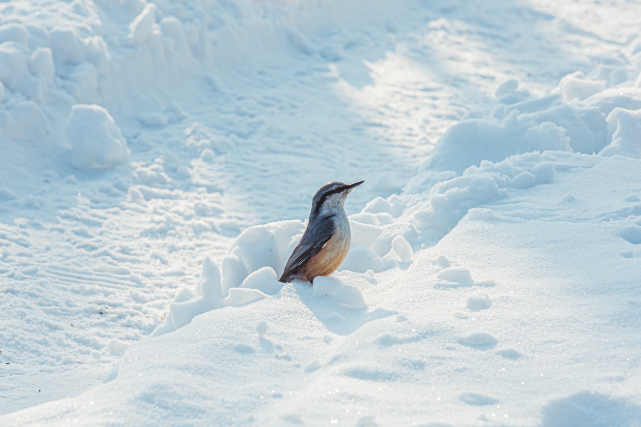 Тематическое фото ИА PrimaMedia