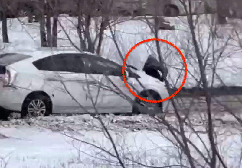 Скриншот Видео из Tg-канала &quotmark2_che&quot (18+)