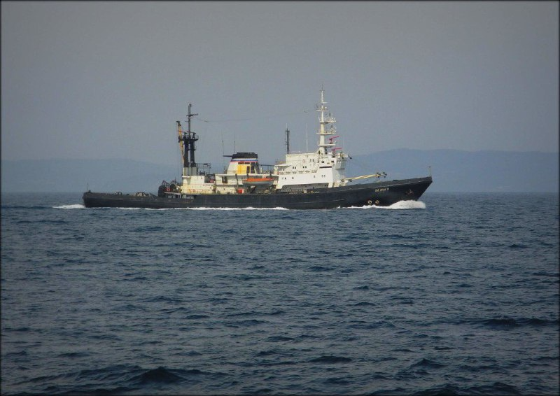 Буксир ТОФ спас филиппинского моряка в открытом океане Пресс-служба ТОФ