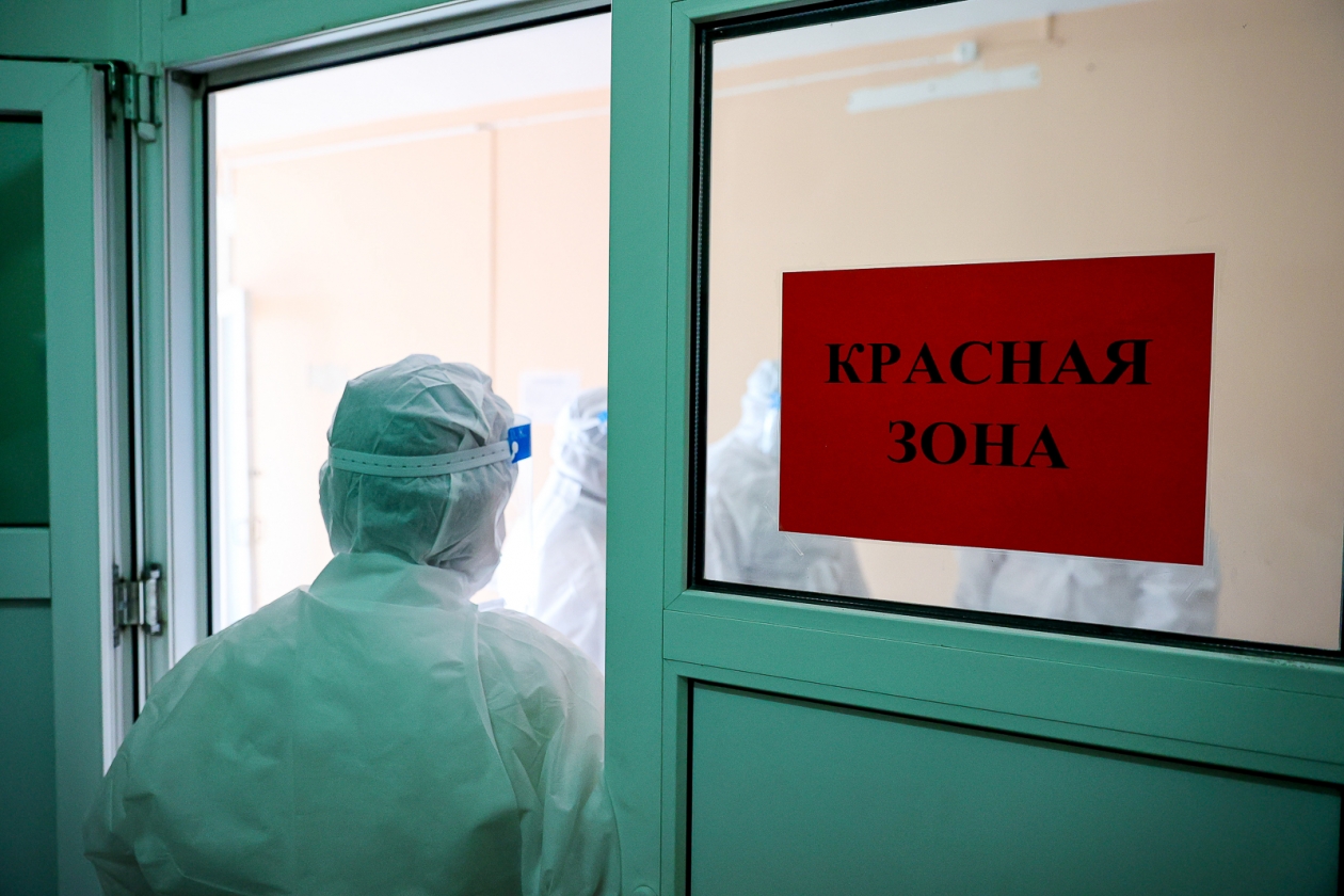В России могут быть только завозные случаи вируса Нипах Илья Аверьянов, ИА PrimaMedia