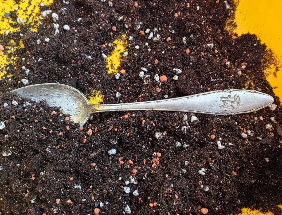 Тематическое фото Автор блога &quotПосад&quot